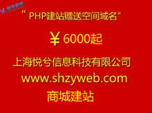 门户网站建设