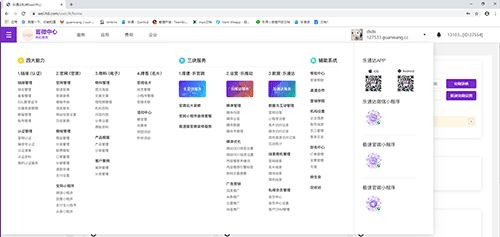 上海传统网站建设公司代理乐偶营销saas当月收入超百万元